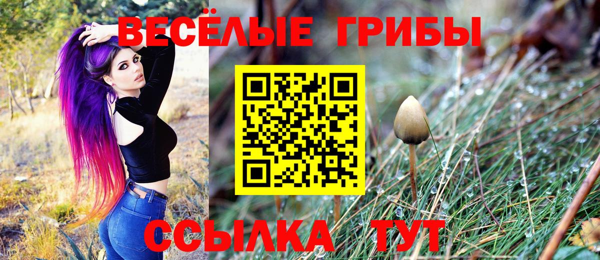 Псилоцибиновые грибы Magic Shrooms  Вход с VPN  Псилоцибиновые грибы мицелий  Чебаркуль 