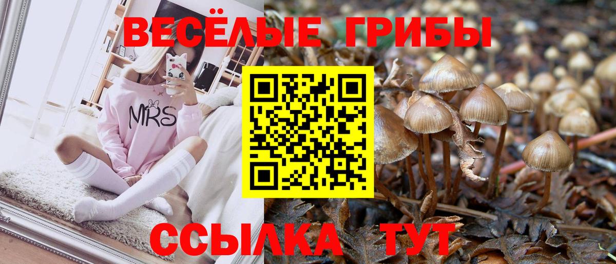 Псилоцибиновые грибы ЛСД Чебаркуль